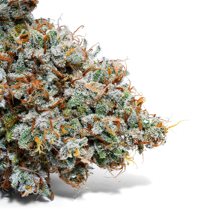 Weedys Yolandi Tip 2 Weedys Yolandi Tip 2
