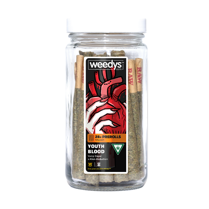 Weedys Youth Blood 28PR 2026 Weedys Youth Blood 28PR 2026
