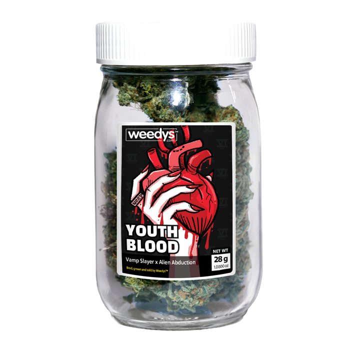 Weedys Youth Blood Stash Jar Weedys Youth Blood Stash Jar