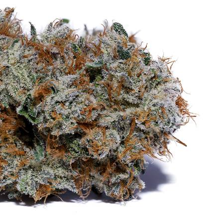 Wildman Flower